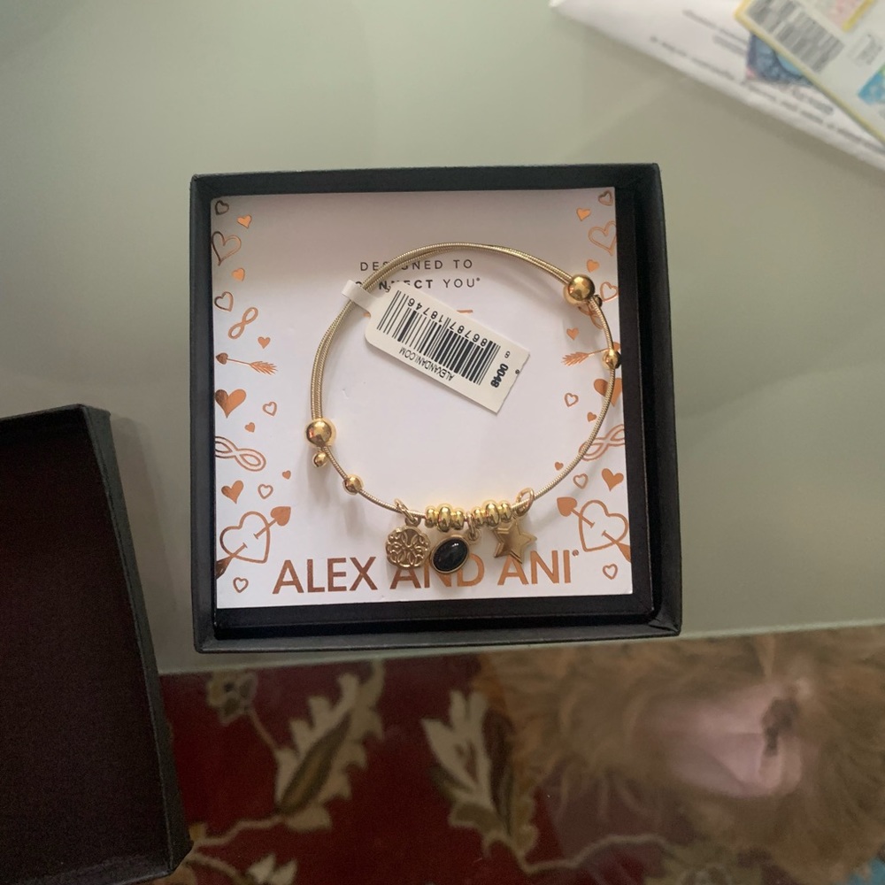 Alex & Ani Bracelet